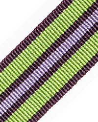 Bayadere Tape A Prairie by  Scalamandre Trim 