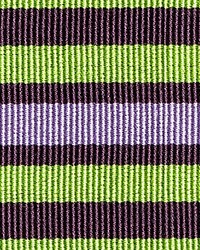 Bayadere Tape C Prairie by  Scalamandre Trim 