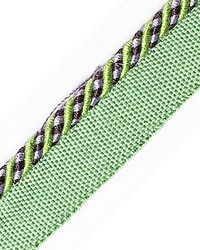 Bayadere Cord With Tape C Prairie by  Scalamandre Trim 