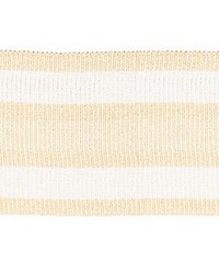 Bayadere Tape B Coquille by  Scalamandre Trim 