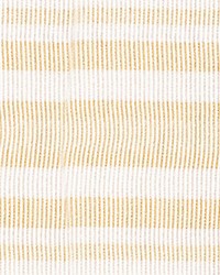 Bayadere Tape C Coquille by  Scalamandre Trim 