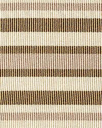 Bayadere Tape C Sienne by  Scalamandre Trim 