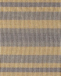 Bayadere Tape C Desert by  Scalamandre Trim 