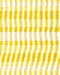 Bayadere Tape C Mais by  Scalamandre Trim 