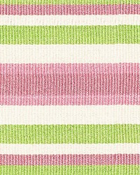 Bayadere Tape C Azalee by  Scalamandre Trim 