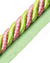 Bayadere Cord With Tape A Azalee by  Scalamandre Trim 