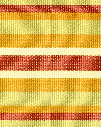 Bayadere Tape C Automne by  Scalamandre Trim 