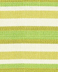 Bayadere Tape C Fougere by  Scalamandre Trim 