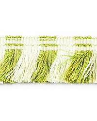 Bayadere Moss Fringe Fougere by   