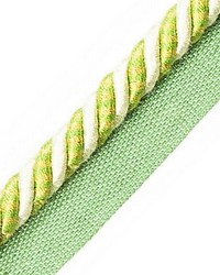 Bayadere Cord With Tape B Fougere by  Scalamandre Trim 