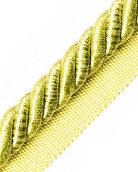 Ambiance Cord With Tape A Pomme by  Scalamandre Trim 