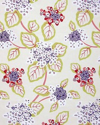 Miranda  Red  Violet by  Grey Watkins 