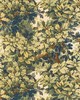 Old World Weavers BOIS DE CHENE VERDURE