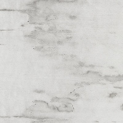 Old World Weavers Polar Bear Greige TUNDRA RG 0001BEAR Grey MOHAIR|23%  Blend Mohair Velvet  Fabric