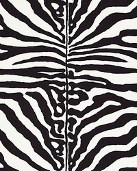 Zebra Black by   