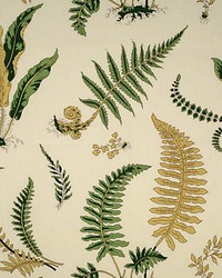 Elsie De Wolfe Greens On Off White by  Scalamandre 