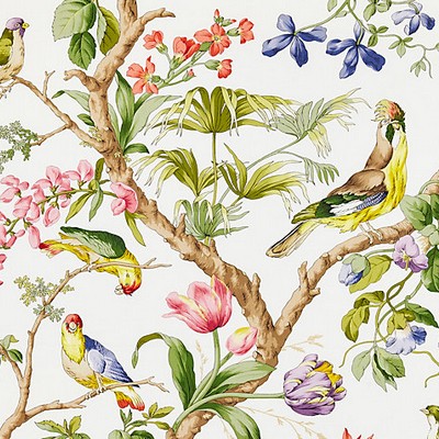 Scalamandre Belize Ivory BOTANICA SC 000116600 Beige Upholstery COTTON COTTON Birds and Feather  Vine and Flower  Fabric