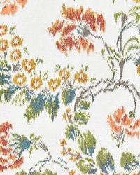 Kew Gardens Warp Print Multi On Ivory by  Paris Texas Hardware 