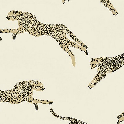 Scalamandre Leaping Cheetah Cotton Print Dune SAHARA SC 000116634 Brown Multipurpose COTTON COTTON Jungle Safari  Fabric