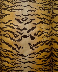 Tigre Ivory Gold  Black by   