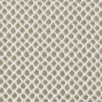 Scalamandre Etosha Velvet Mineral MODERN NATURE SC 000127022 Grey Upholstery RAYON;28%  Blend Patterned Velvet  Fabric