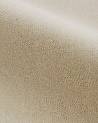 Porter Sand Dune by  Scalamandre 