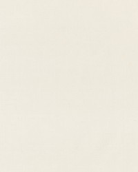 Museum Dupioni Ivory by   