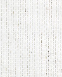 Basket Weave G1190 White by  Scalamandre Wallcoverings 