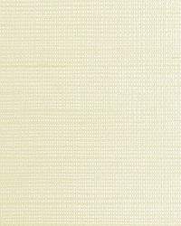 Sisal Metallic Platinum by  Scalamandre Wallcoverings 