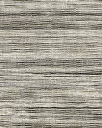 Strie Sisal Glacier by  Scalamandre Wallcoverings 