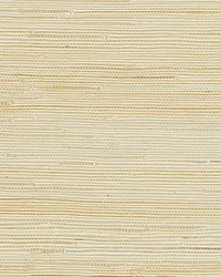 Textured Sisal White Sand by  Scalamandre Wallcoverings 