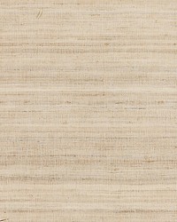 Tussah Silk Sand by  Scalamandre Wallcoverings 