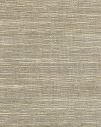 Shantung Grasscloth Dove by  Scalamandre Wallcoverings 