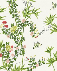 Jardin De Chine Spring by  Scalamandre Wallcoverings 