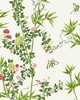 Scalamandre Wallcoverings JARDIN DE CHINE SPRING