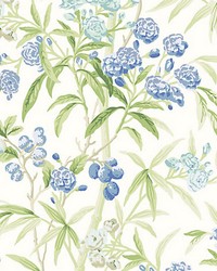 Lanai Lagoon by  Scalamandre Wallcoverings 