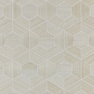 Scalamandre Wallcoverings Hive  Abaca Snowflake SC 0001WP88469 White  Modern Geometric Designs Tiles and Tiled Wallcoverings 