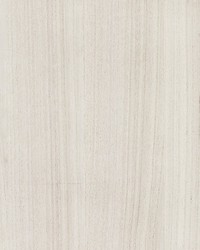 Woodgrain Snow by  Scalamandre Wallcoverings 