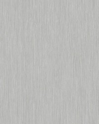 Saluzzo Silver by  Scalamandre Wallcoverings 