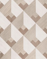 Stanza Birch by  Scalamandre Wallcoverings 