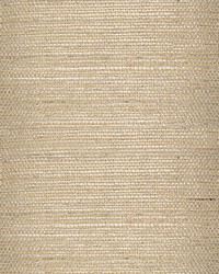 Taj Sisal Ground Chai by  Scalamandre Wallcoverings 
