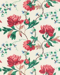 Isadora Wallcovering Red Multi by  Scalamandre Wallcoverings 