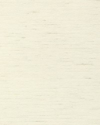 Aditi Plain Salt by  Scalamandre Wallcoverings 