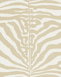 Zebra Sahara by   