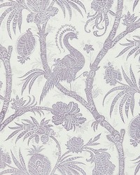 Balinese Peacock Lavender by   