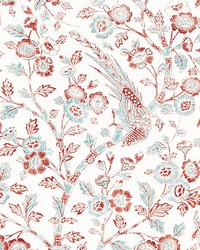 Anissa Print Coral Spice by   