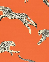 Leaping Cheetah Cotton Print Clementine by   