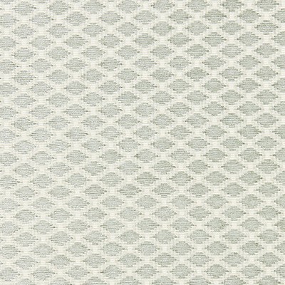 Scalamandre Tristan Weave Rain FALL 2016 SC 000227101 Green Upholstery COTTON;34%  Blend Perfect Diamond  Fabric