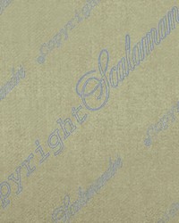 Academy Bisque by  Scalamandre 