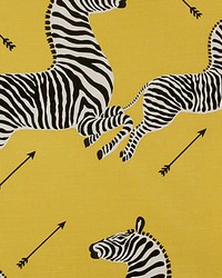 Zebras Yellow by   